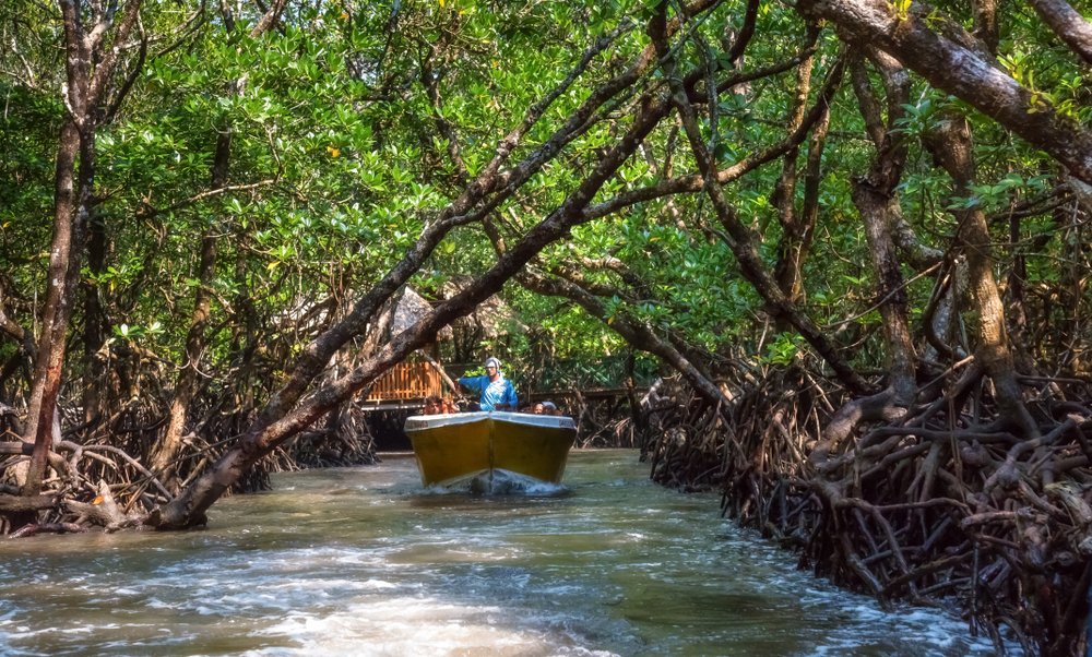 Serene Tour to Kerala